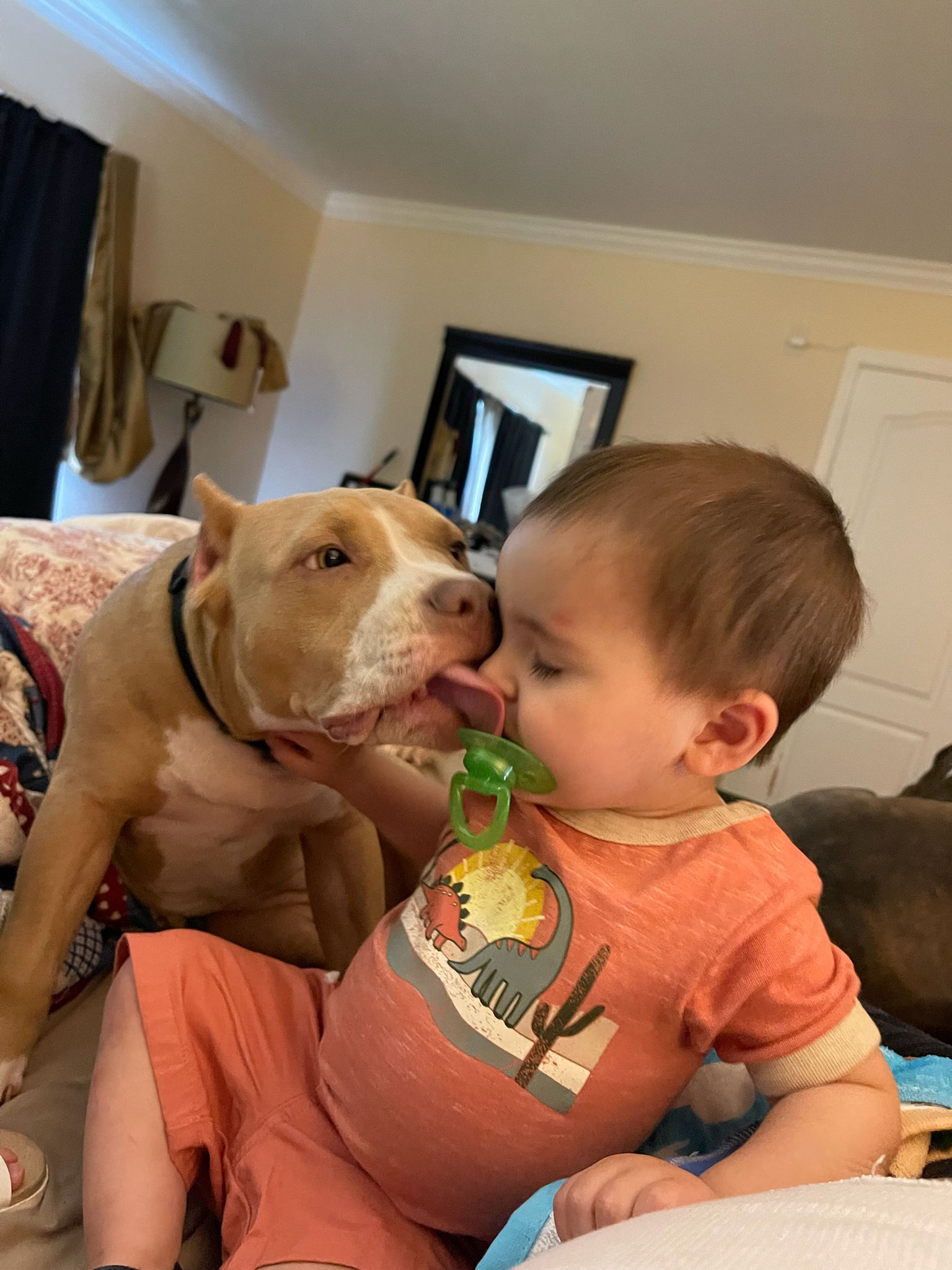 Pit Bull puppy gently licking toddler’s cheek in New Jersey